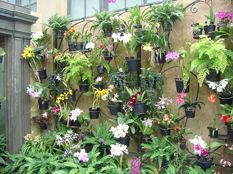 302 Longwood Gardens [2008 August 23].JPG - Longwood Gardens in Pennsylvania